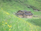 ultimo_giorno_ombreghe_105_modificata.jpg ultimo_giorno_ombreghe_105_modificata.jpg