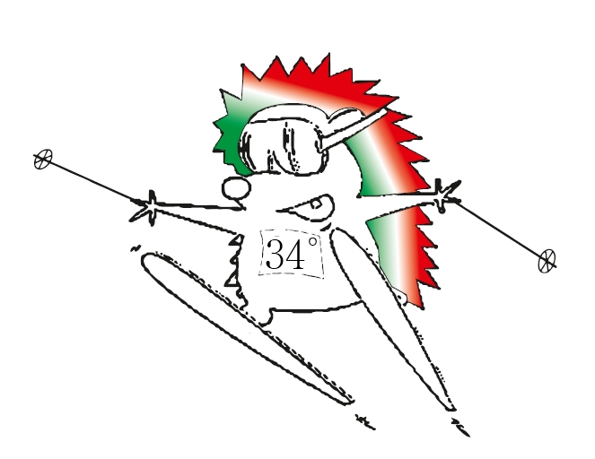 riccio_tricolore.jpg riccio_tricolore.jpg